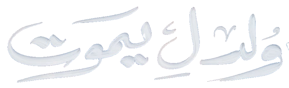 مسلسل ولد ليموت